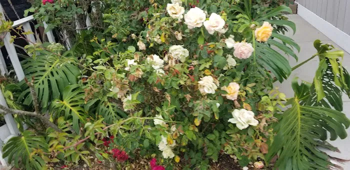 Sandalwood Mobile Home Park Picture 8
