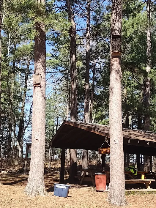 Camp Nushka Picture 2
