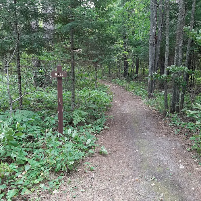 Webster Lake Campground Picture 10