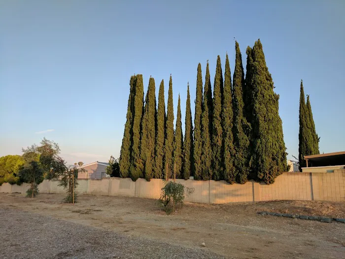 Bandera Estates Picture 3