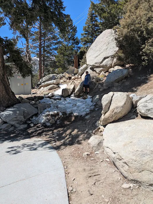 Reseda Mobile Homes Picture 7