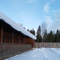 Camp Wilderness ico