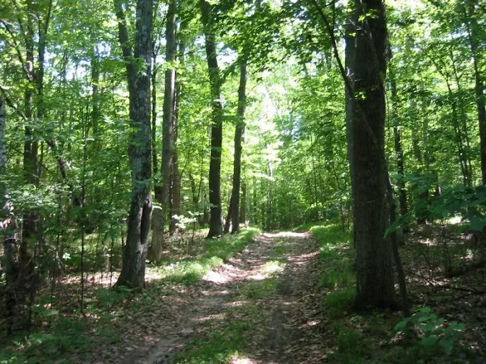 Johnson's Landing and Campground Picture 2
