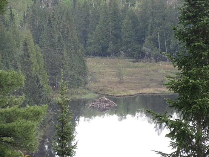 East Lake Agnes Camp Picture 7