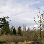 Jonvick Creek Camp