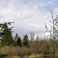 Jonvick Creek Camp ico