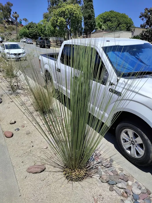 El Cajon Mobile Home Park Picture 7