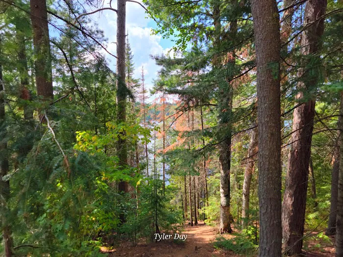 Sawbill Lake Campground Picture 4