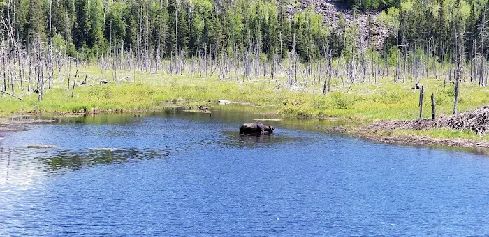 Sawbill Lake Campground Picture 9
