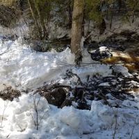 Spruce Creek Camp ico