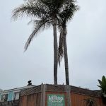 Hilltop Trailer Park