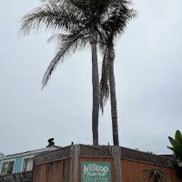 Hilltop Trailer Park ico