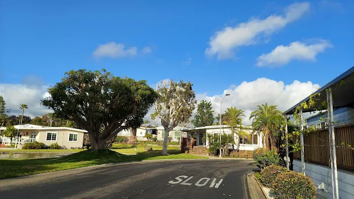 Lakeshore Gardens Mobile Home Picture 4