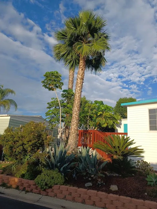 Lakeshore Gardens Mobile Home Picture 7