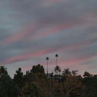 Canyon Crest Estates ico