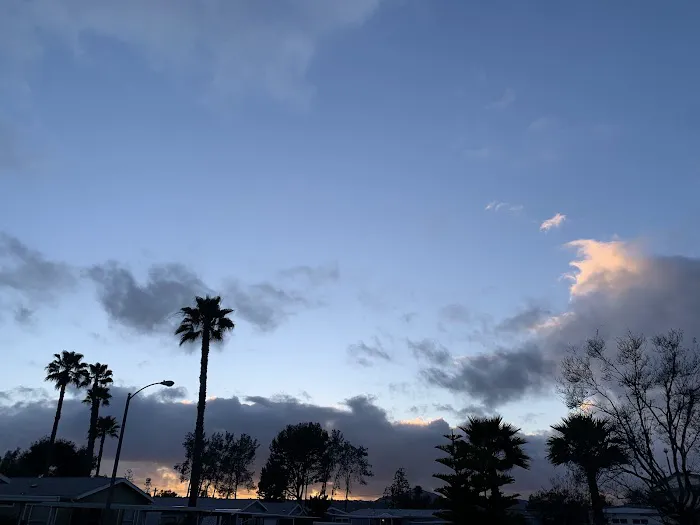 Pepperwood Mobile Home Park (Senior) Picture 2