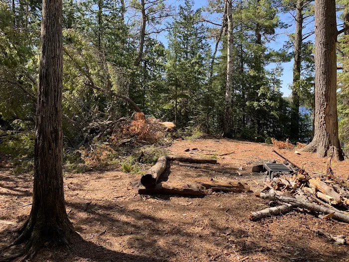 Superior National Forest Campsite #2052 Picture 1