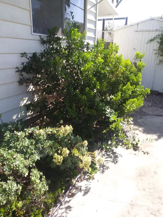 Mira Vista Mobile Home Estates Picture 10