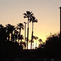 Royal View Gardens Mobile Ests ico