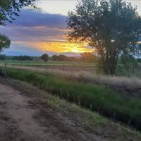 Bosque RV Ranch (Under Construction) ico