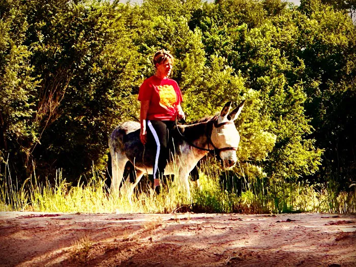 Bosque RV Ranch (Under Construction) Picture 8