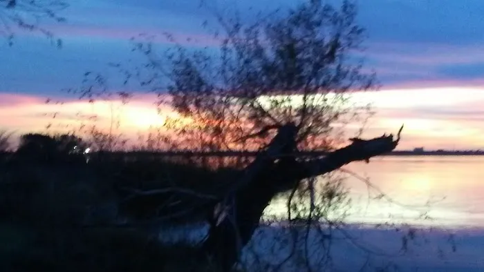 Cactus Country RV Park Picture 10