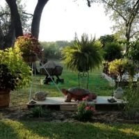 Woodland Oaks RV Estates ico