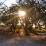 Shady Haven RV Sites