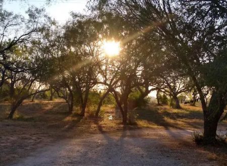 Shady Haven RV Sites
