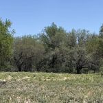 The Oaks at Waterwood