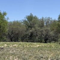 The Oaks at Waterwood ico