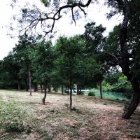 Lost Resort Ranch ico