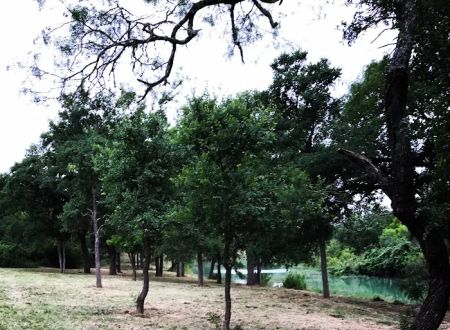 Lost Resort Ranch