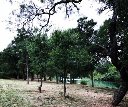 Lost Resort Ranch