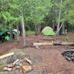 Robbins Island Campsite