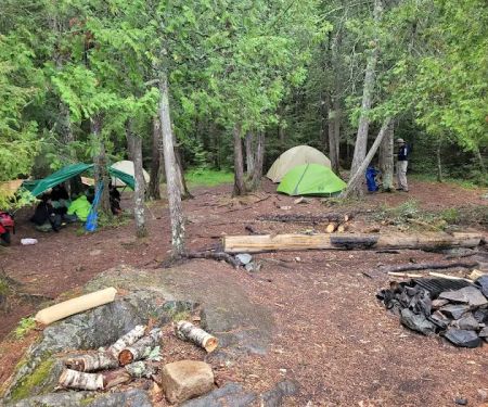Robbins Island Campsite