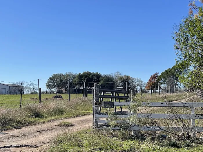 Pecan Grove Picture 4