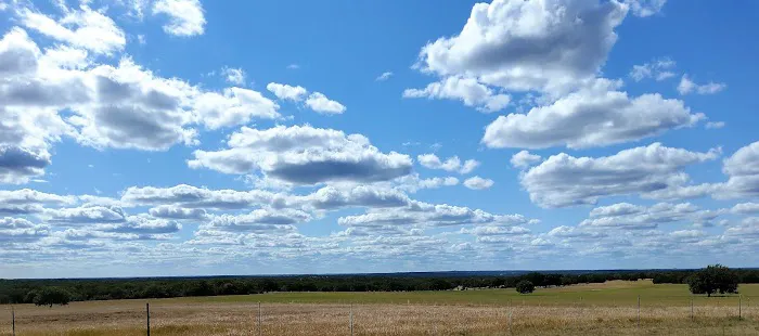 Pecan Grove Picture 5