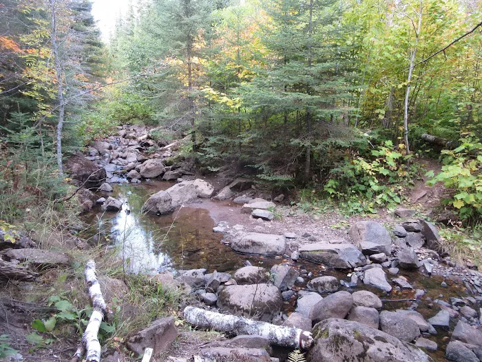 Camp Creek Campsite Picture 2