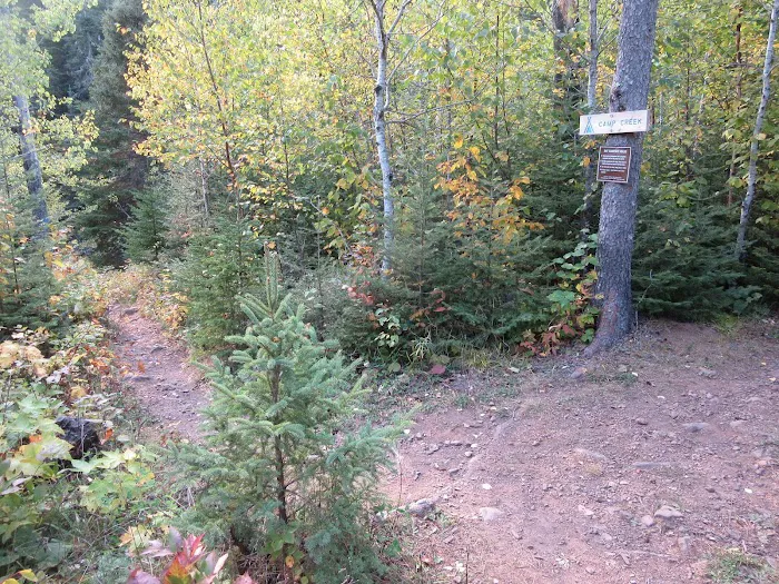 Camp Creek Campsite Picture 4