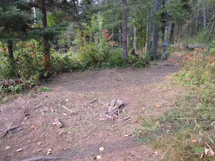 Camp Creek Campsite Picture 6