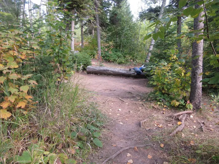 Camp Creek Campsite Picture 7