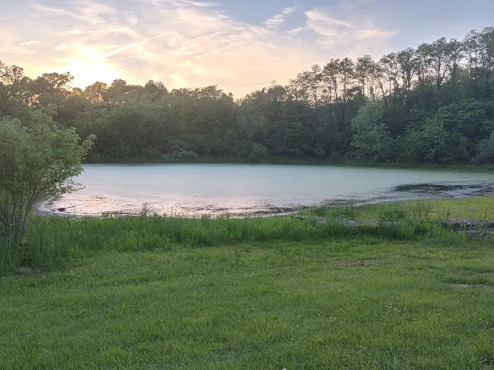 Backwoods Campground and RV Park Picture 4