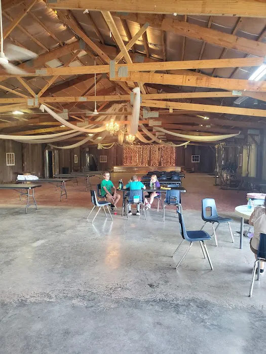 Backwoods Campground and RV Park Picture 7