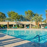 Contempo Tempe ico