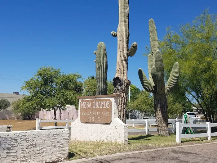 Mesa Grande Mobile Home Park Picture 2