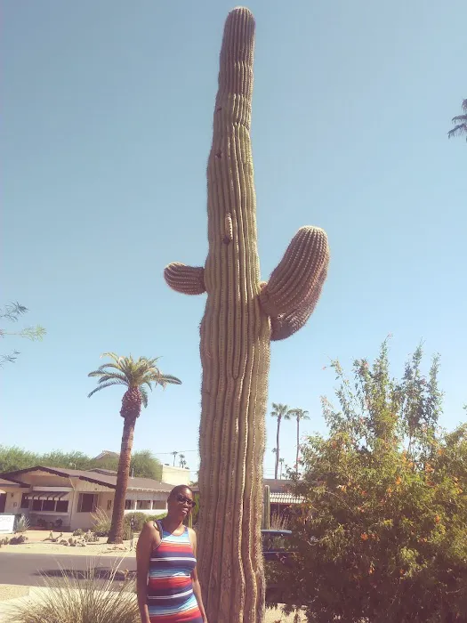 Oasis Park Co Picture 4