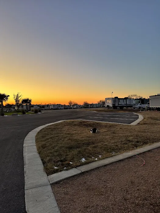 Buda Place RV Resort Picture 8