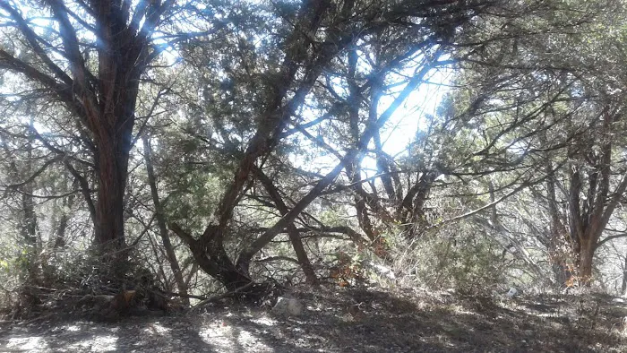 Covenant Canyon RV Park Picture 1