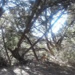 Covenant Canyon RV Park